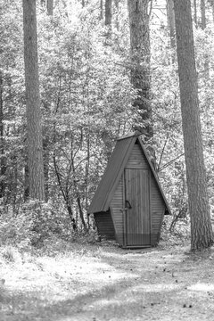 Wooden cabin featuring a triangular roof located in a forest clearing, surrounded by tall trees and dense greenery in black and white