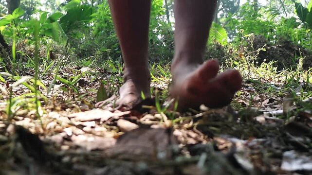 Close up of a person walking barefoot on the forest floor in nature, grounding with the Earth's natural energy to reduce stress, restore inner balance, and revitalize the mind