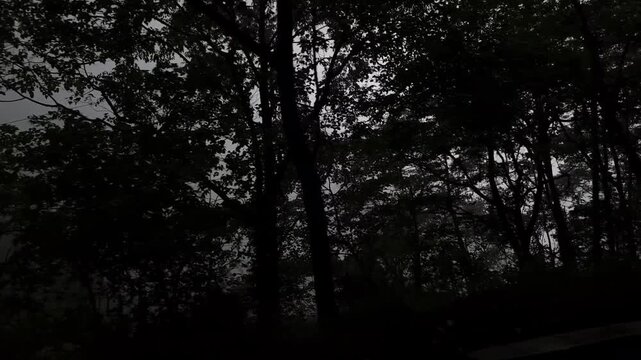 Scenic footage of a winding mountain road surrounded by dense green forests and lush vegetation in Darjeeling, West Bengal, India. Rainy weather creates a wet road surface with vehicles