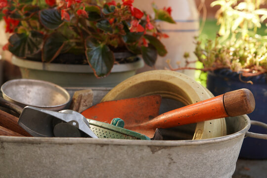 Leander, Texas, USA - July 18, 2026: Metal container full of rustic gardening tools sitting in front of colorful plants on an outdoor patio area.