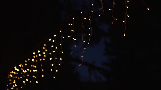 Warm icicle string lights glow against dark forest at night, forming a diagonal curtain of golden points that creates a cozy decorative atmosphere in the nighttime campsite