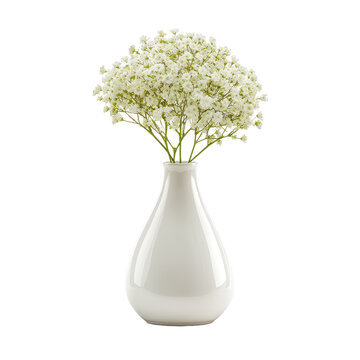 white abstract vase with a single stem of baby's breath cutout isolated illustration cutout isolated illustration on transparent background