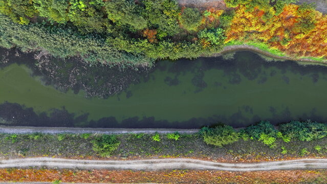 Aerial view of a calm canal with dark green water, bordered by a dirt path and lush trees with patches of autumn foliage in Omoljica, Vojvodina, Serbia.