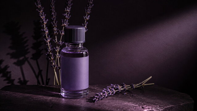 Luxury lavender fragrance bottle surrounded by fresh and dried lavender stems on a dark textured surface, dramatic purple lighting and deep shadows creating a sophisticated relaxing aromatherapy conce