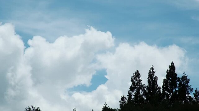 木々のシルエットと雲が広がる青空