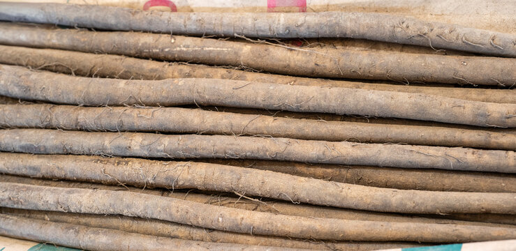 Fresh burdock roots arranged in a box for sale at a traditional rural market in Korea.
