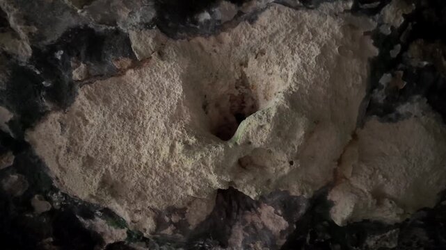 Malta, Xemxija Heritage trail, Punic caves interior. Holes in the ceiling used to tie something.
