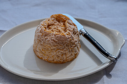 Small, round Langres cheese with orange washed rind and creamy center on a board, ready to be spooned and paired with Champagne
