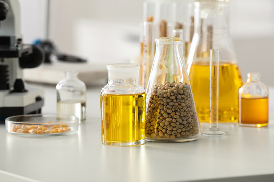 Soybean oil and soybeans in laboratory glassware for agricultural research and food science analysis, a microscope is visible in the background, indicating scientific study