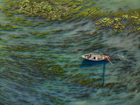 Aerial view of a small wooden boat floating on water filled with aquatic vegetation in Sirajganj, Rajshahi Division, Bangladesh.
