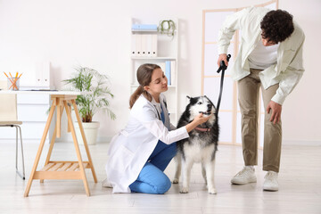 Female veterinarian examining a husky dog with its owner at a modern animal clinic, Pet healthcare and wellness © Pixel-Shot