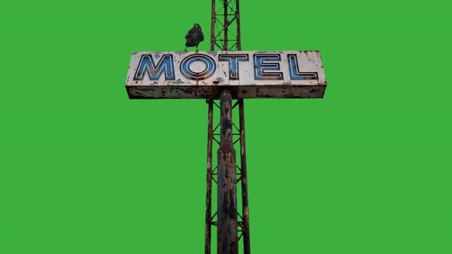 Raven on weathered motel sign green screen low angle