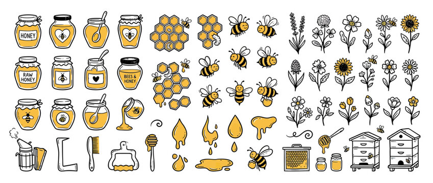 Cute Bee and Honey Illustration Collection