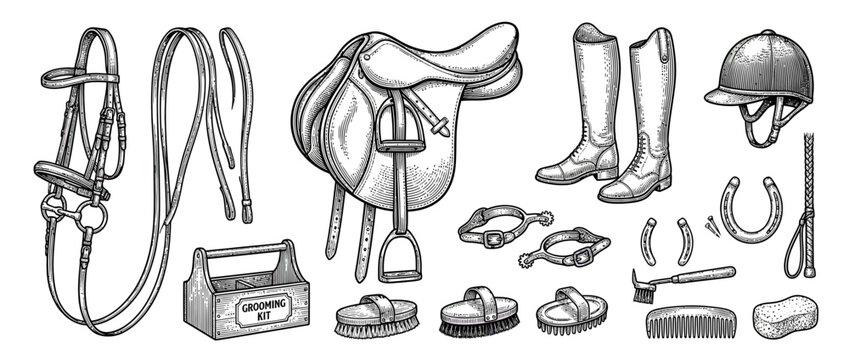 Equestrian Gear Collection on Transparent Background