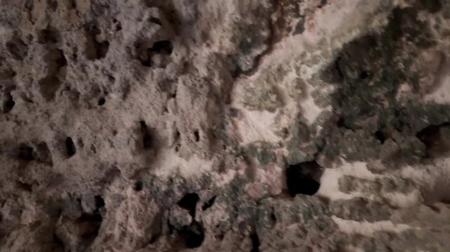 Malta, Xemxija Heritage trail, Punic caves. look into holes in the cave walls and celling