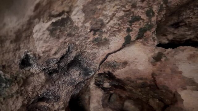 Malta, Xemxija Heritage trail, Punic caves. look into holes in the cave walls and celling