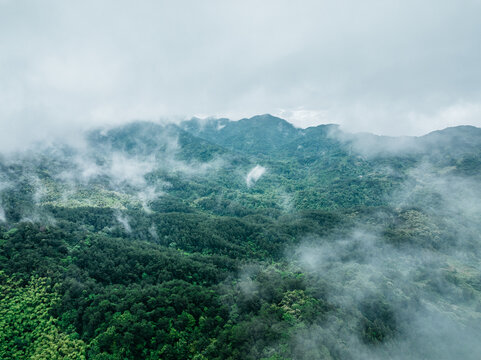 Aerial view of misty mountain forests shrouded in low clouds, with lush green vegetation covering rolling slopes under an overcast sky.