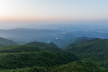 Fototapeta premium Layered mountain ranges covered with dense green forest, seen at dawn with soft mist and pale sky.