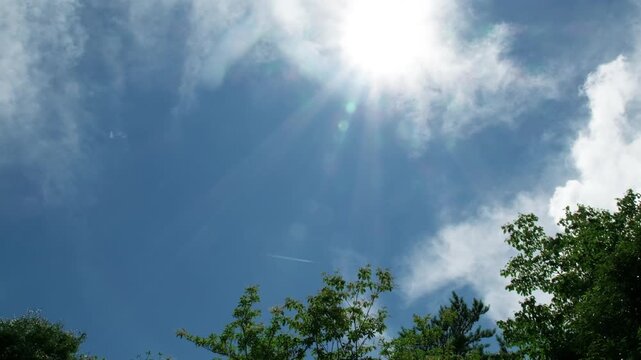 夏の青空と飛行機雲
