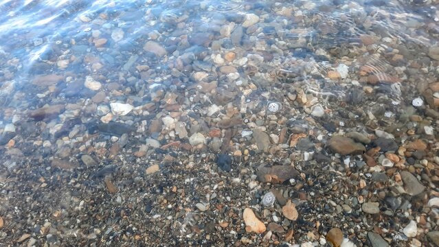 Clear shallow seawater revealing colorful natural pebbles and stones along a tropical shoreline, water sea  texture and colorful gravel beach background