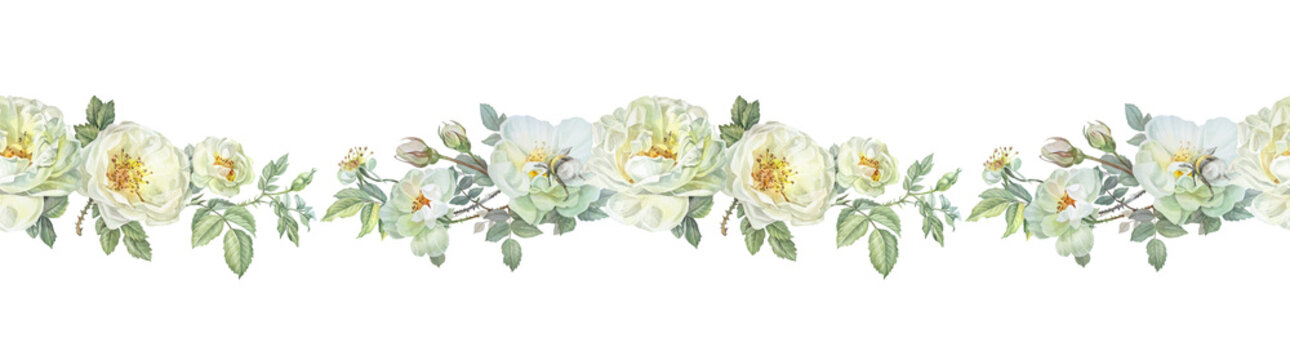 Watercolor seamless border with flower dog rose and bumblebee on white background. Hand-drawn summer branch with green leaves and wild rose hip. Botanical rim for sticker tea. Wallpaper or wrapping