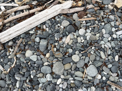Top-down view of gray beach pebbles and weathered driftwood logs on a rocky shore. A natural textured background of stones, twigs, and dried seaweed washed up on the coastline.