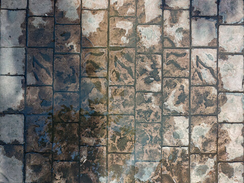 Textured Concrete Pavers with Water Stains and Natural Patterns