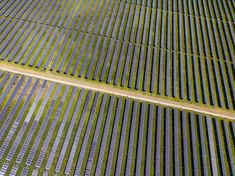 Aerial view of a large solar farm with rows of photovoltaic panels and a dirt access road running through the green landscape in Nopala, Hidalgo, Mexico.