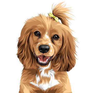 Cute Dog portrait vector illustration on transparent background