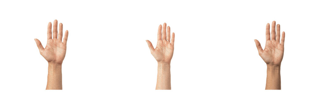 Set of human hands raised palm up gestures open palms body language communication signs graphic collection isolated transparent background high resolution vector clipart png