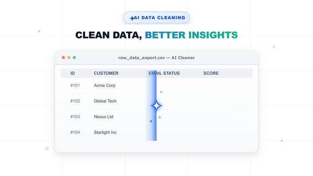 2D Animation of AI Data Cleaning Removing Duplicates for Better Business Insights