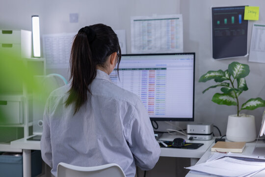 Office woman computer desk workstation data spreadsheet monitor plant paperwork, rear view woman working computer desk office with spreadsheet data monitor, plant, paperwork, chart, organized