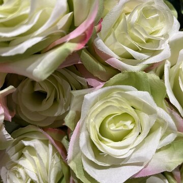 Artificial fabric roses in white and green close up