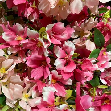 Artificial pink cherry blossom flowers close up decoration