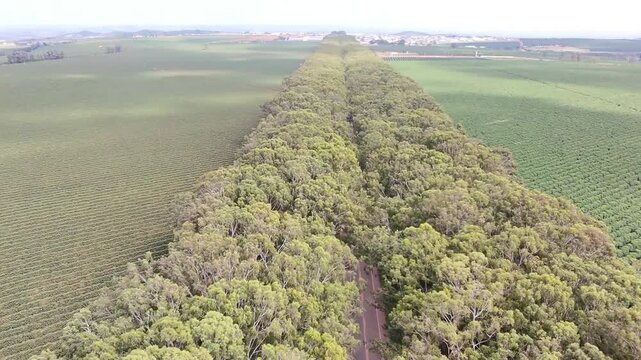 Vista a&eacute;rea trevo BR-354 entrada em Carmo do Parana&iacute;ba, Minas Gerais