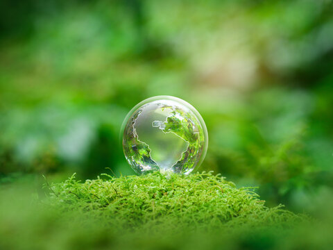 Green globe on moss with  green forest. Concept of ESG, Eco-friendly business, Earth Day, social responsibility, net zero emission.