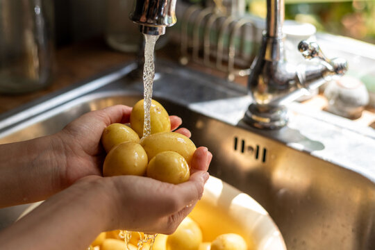 Fresh potatoes washed under faucet.