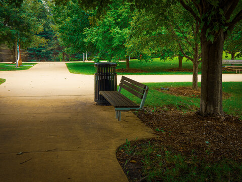 Scenic outdoor view of a wooden park bench and trash can resting along a paved walkway surrounded by lush green trees