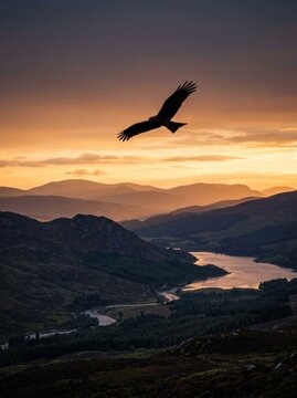 Majestic Eagle Soaring Over Serene Mountain Valley at Sunset.