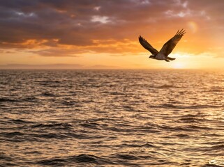Naklejka premium Majestic Osprey Soars Over Calm Ocean at Golden Sunset.