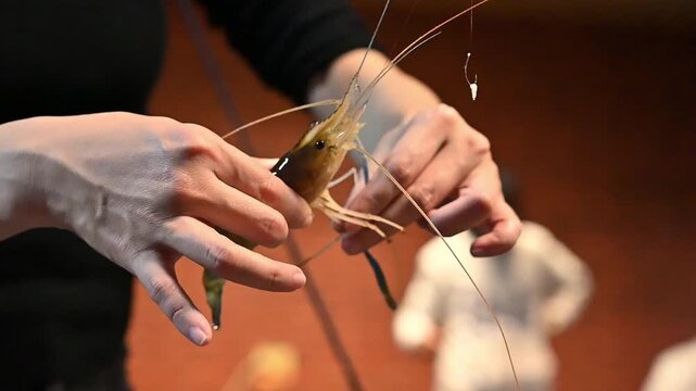 Removing a fishing hook from a caught shrimp
