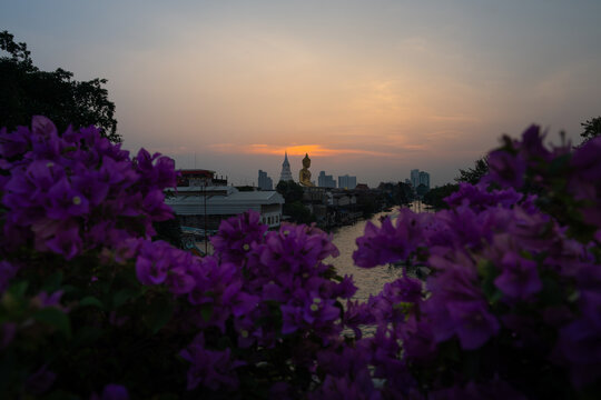 Scenic sunset view of giant golden Buddha statue and white stupa of Wat Paknam Phasi Charoen temple through purple bougainvillea flowers in Bangkok, Thailand
