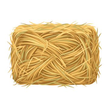 Bale of hay isolated on white background