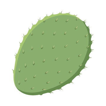 Prickly pear cactus pad vector illustration