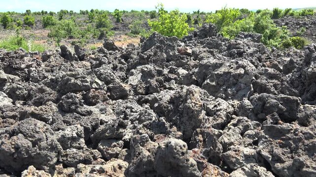 Basalt lava plain with porous volcanic rocks and sparse vegetation forms a harsh landscape.
