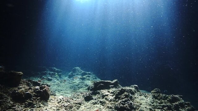 Underwater videoclip of rays of sunlight over a reef.