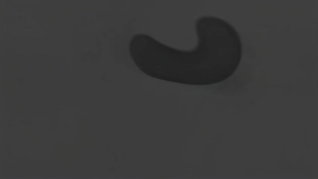 Microscopic view of a dark kidney-shaped cell against a textured gray background.