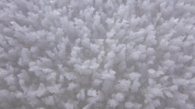 Crystal hoarfrost rime layer accumulated on a cold winter surface, serene and beautiful.