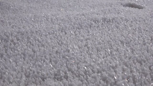 Crystal hoarfrost rime layer accumulated on a cold winter surface, serene and beautiful.