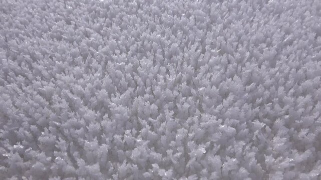 Crystal hoarfrost rime layer accumulated on a cold winter surface, serene and beautiful.